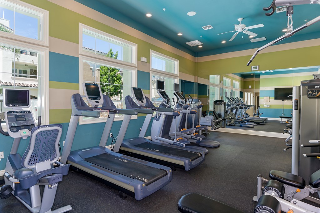 A gym with treadmills, exercise bikes, and other equipment.