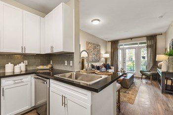kitchen and living room - Photo Gallery 3