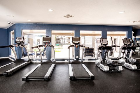 A gym with treadmills and elliptical machines.