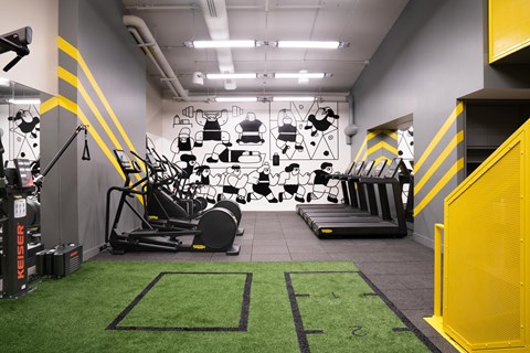 A gym with a green carpet and a yellow stripe on the wall.