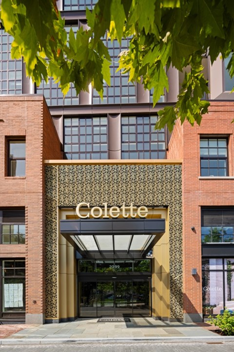 The entrance to a building with a sign that says "Colette" is framed by a patterned wall.