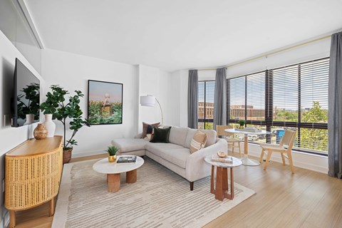 A living room with a couch, a coffee table, and a potted plant.