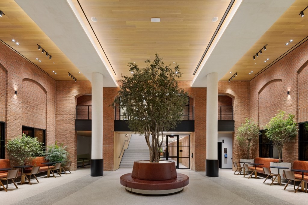 A tree in a pot sits in the middle of a courtyard.