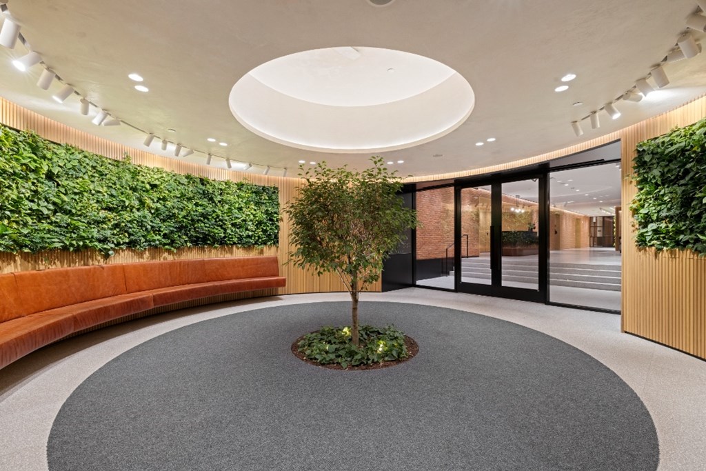 A tree is in a small garden in the middle of a room.