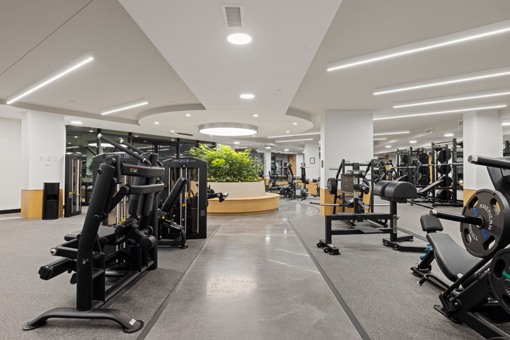 A gym with a variety of equipment including treadmills, weights, and exercise machines.