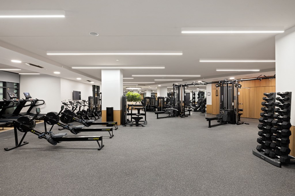 A spacious gym with a variety of equipment including treadmills, weights, and exercise machines.