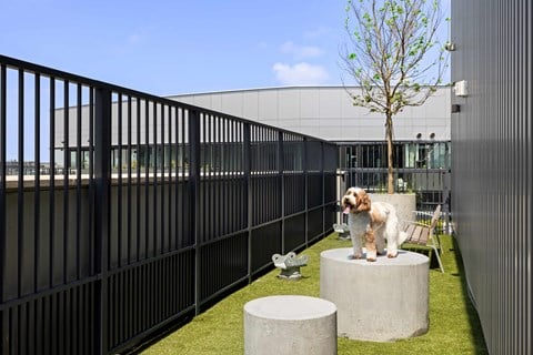 A dog is sitting on a concrete pedestal in a courtyard.