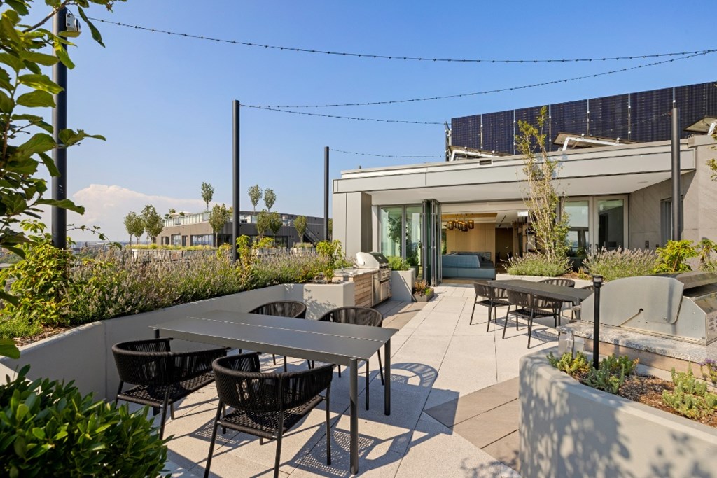 A patio with a table and chairs is surrounded by green plants.