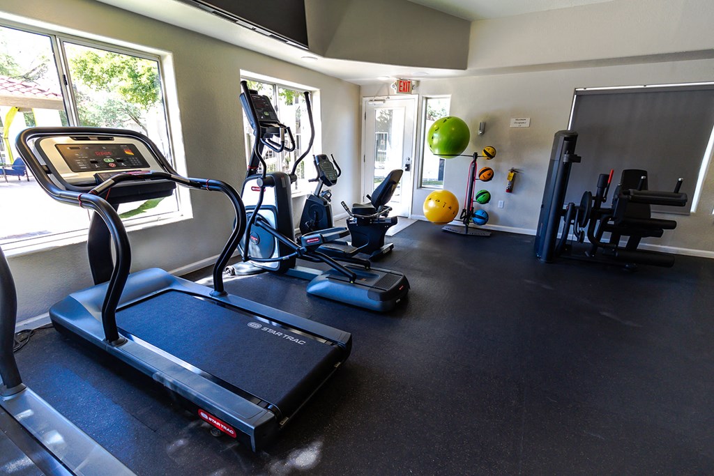 a home gym with treadmills and other exercise equipment