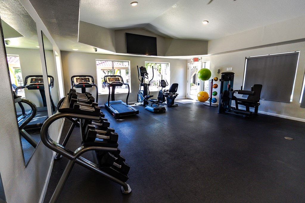 a gym with cardio equipment and weights