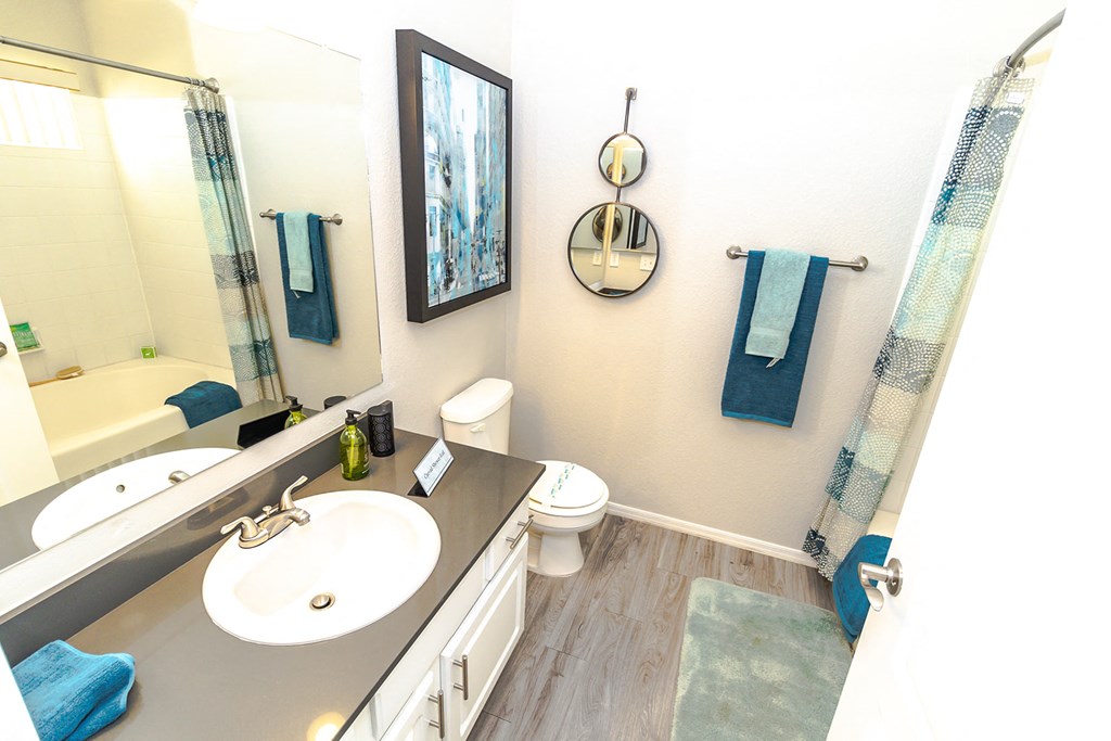 a bathroom with a sink and a toilet