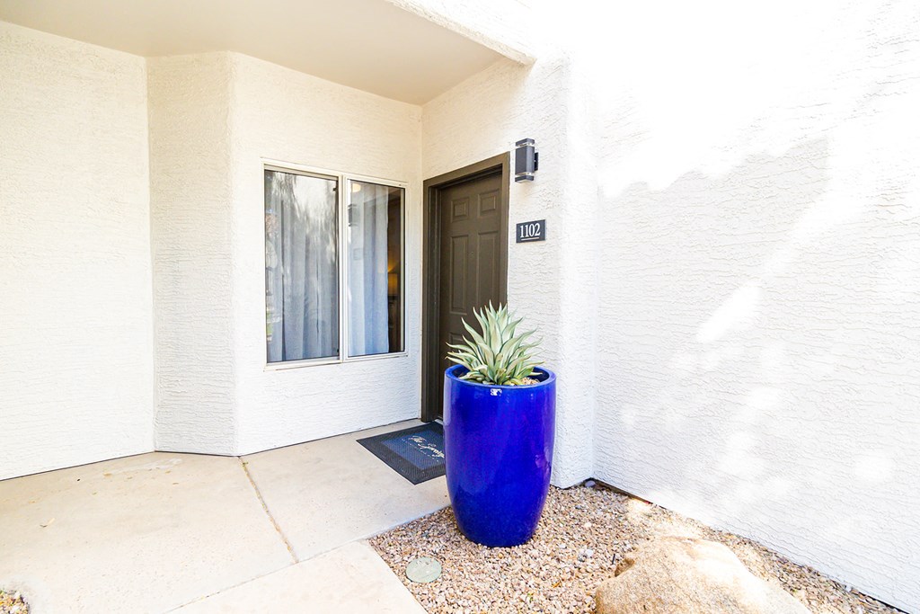 a blue plant in a large blue pot in front of a door
