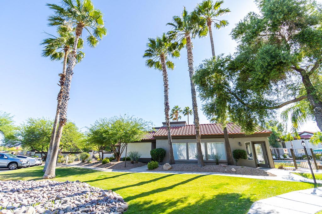 a house with palm trees in the background