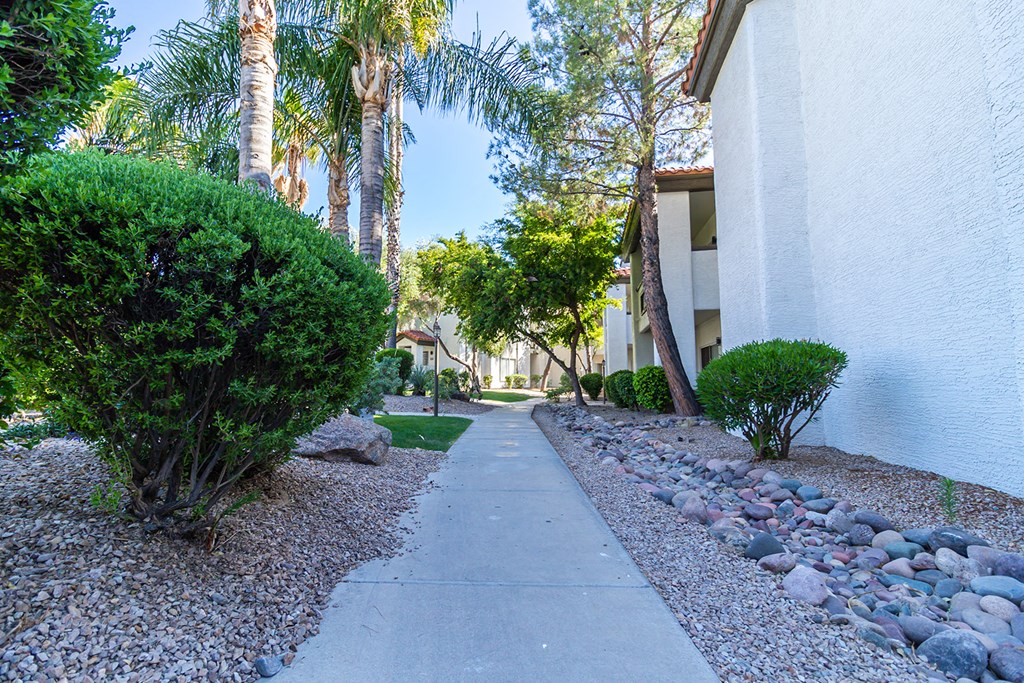 a walkway with trees and bushes on both sides