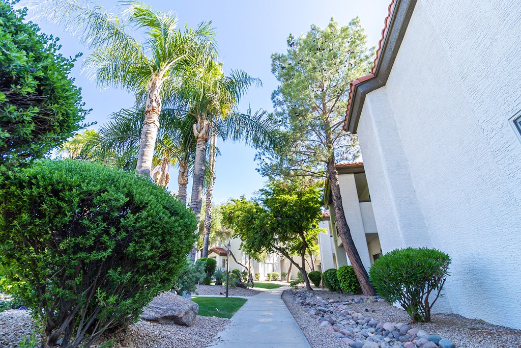 a walkway with trees and bushes on either side