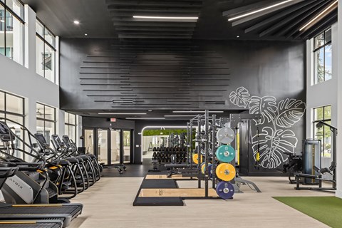 A gym with treadmills, weights and exercise equipment.