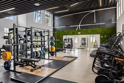 A gym with a variety of equipment including weights and cardio machines.