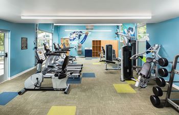 A gym with a variety of equipment including treadmills, weights, and exercise machines.
