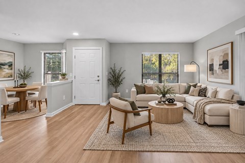 A living room with a white door and a brown rug.
