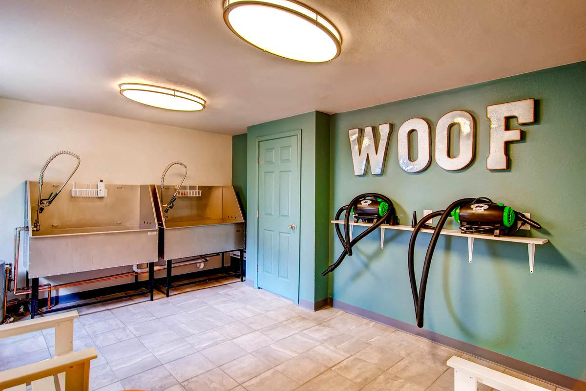 Pet Wash Room with two large washing stations and two blow dryers