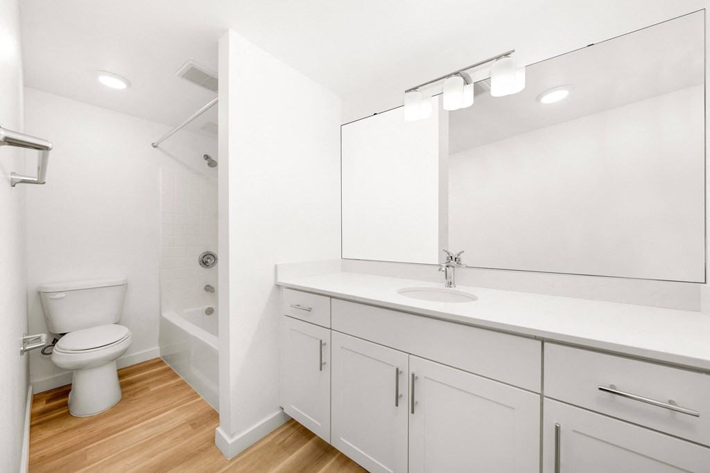 a bathroom with a sink and a toilet and a mirror