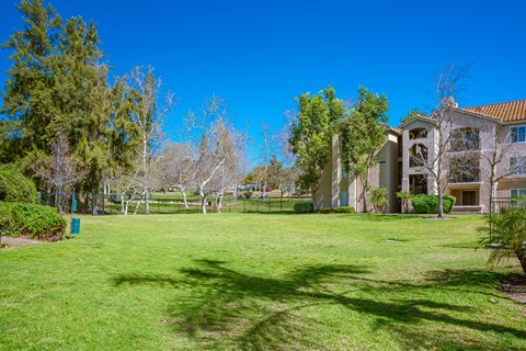 Dog Run at Central Park, La Mesa