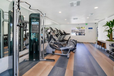 fitness center at Softwind Point Apartments