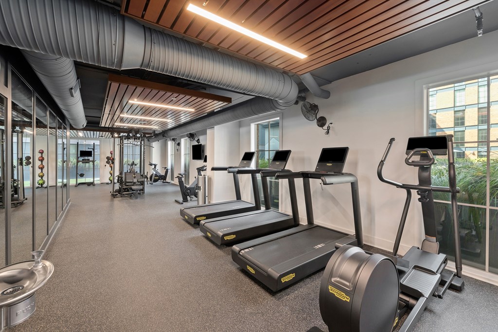 A gym with treadmills, elliptical machines, and other exercise equipment.