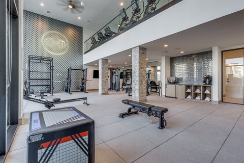 A gym with a squat rack, bench, and weights.