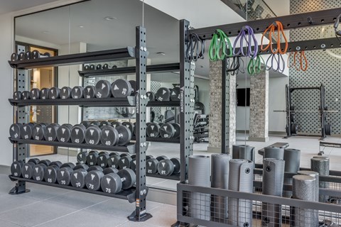 A gym with a rack of dumbbells and weight plates.