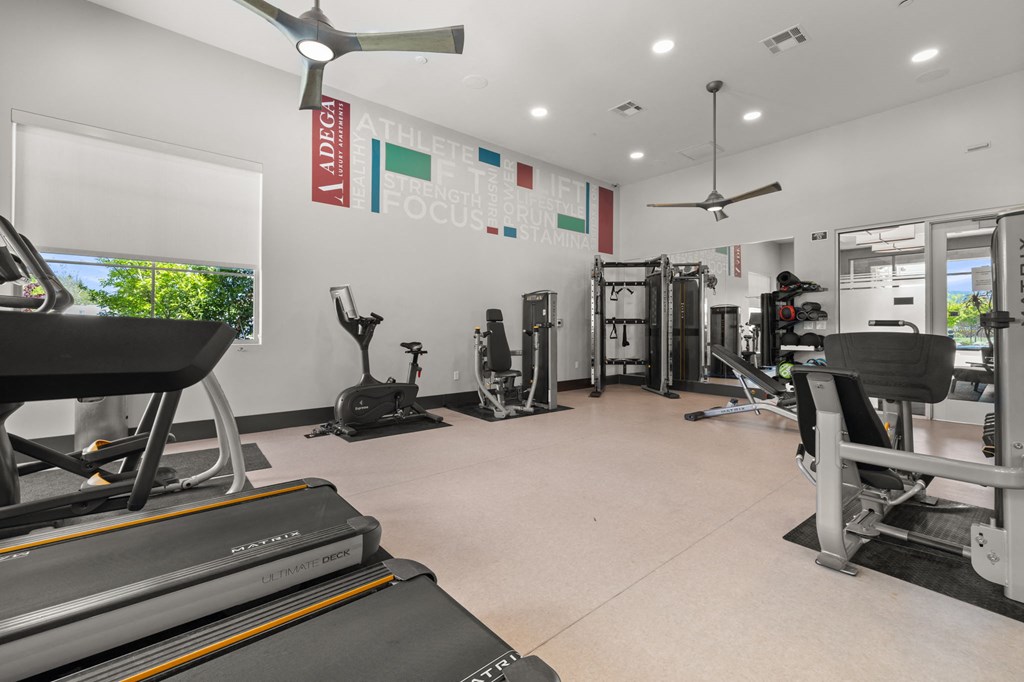 a gym with treadmills and other exercise equipment