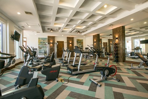 State Of The Art Fitness Center at SkyStone Apartments, Albuquerque, NM