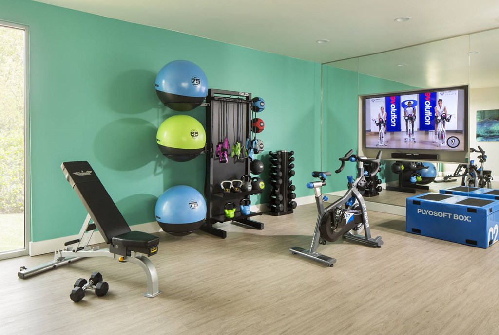 A home gym with a variety of exercise equipment including a stationary bike, a rowing machine, and a bench press.