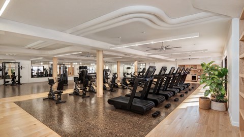 A gym with treadmills, weights, and exercise equipment.