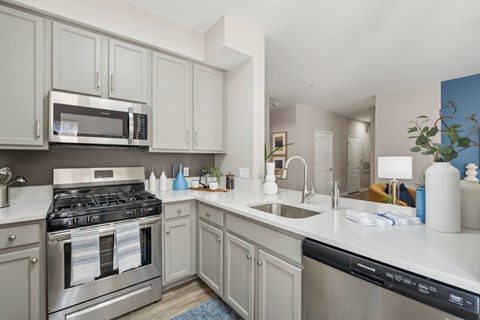 A kitchen with a stove, microwave, and dishwasher.