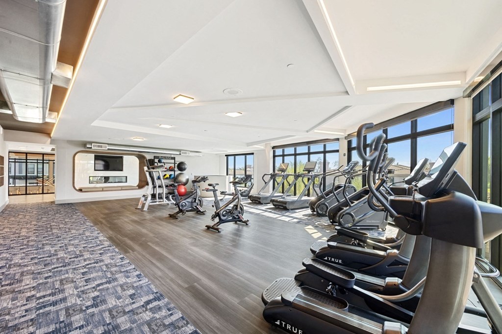 the gym at the preserve at green valley townhomes in green valley va