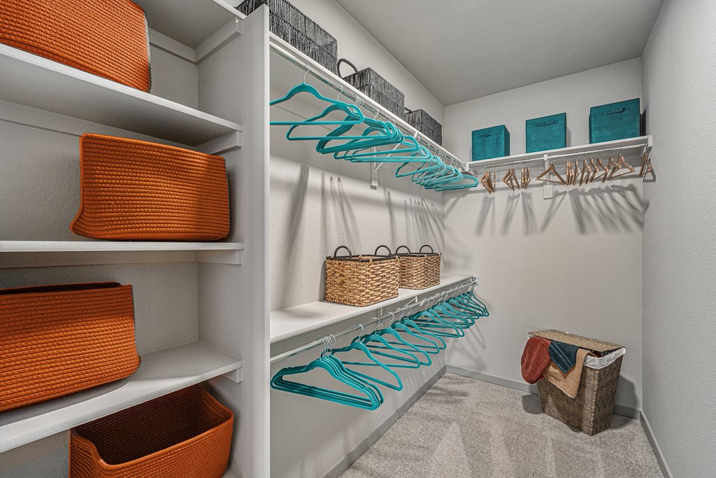Walk-in closet with carpet flooring