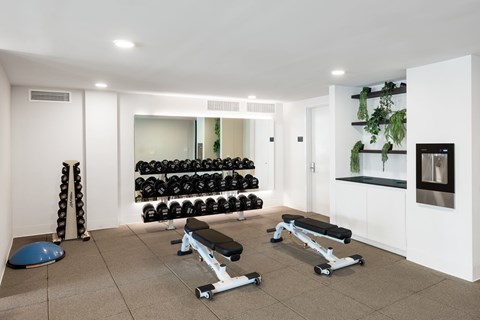 Gym with weight rack and benches