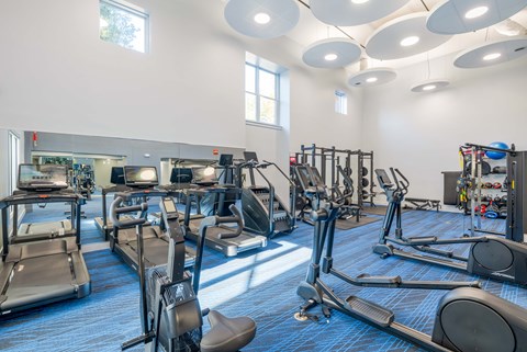 A gym with treadmills, elliptical machines, and other exercise equipment.