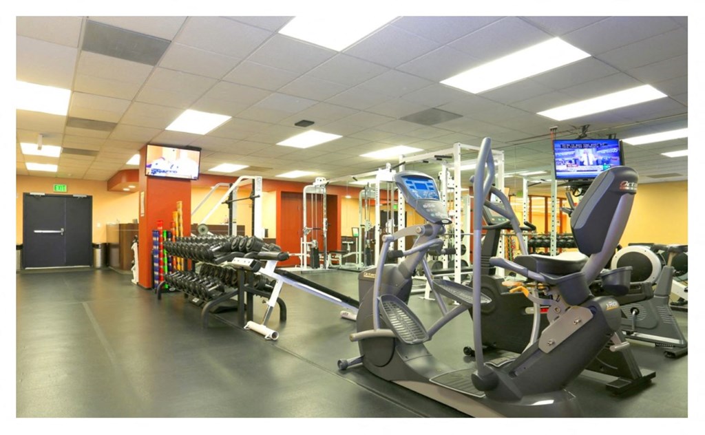 Fitness