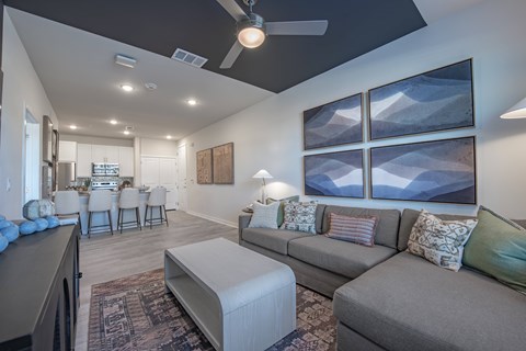 A living room with a grey couch and a rug.