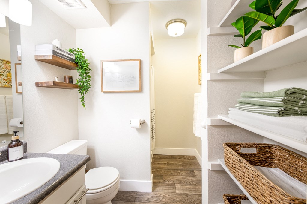 Bathroom with Linen Closet
