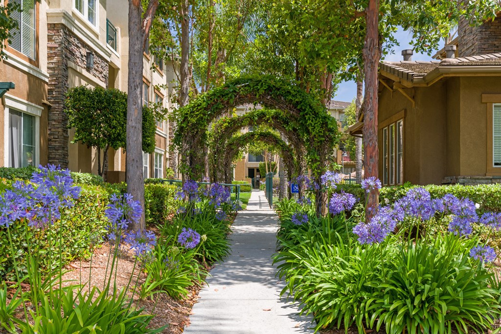 A pathway with a green archway and purple flowers on the sides.