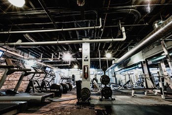 Gym - Photo Gallery 6