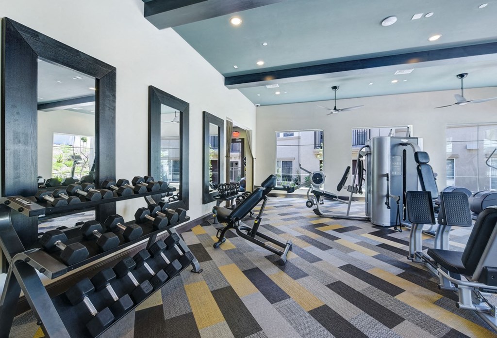 fitness center at Seta Apartments