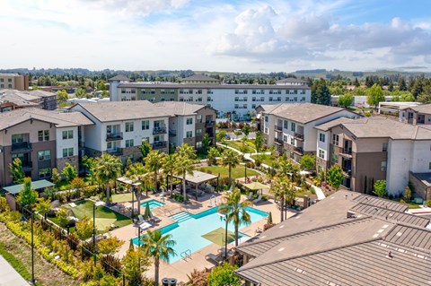 an aerial view of the resort style pool at the bradley braddock road station apartments