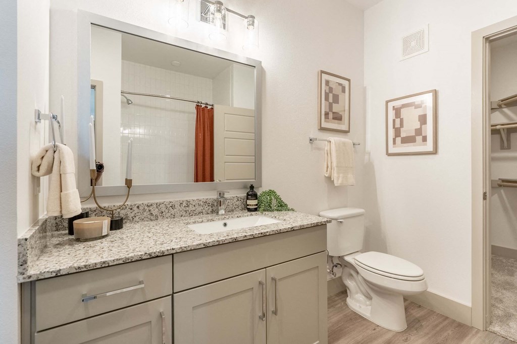 a bathroom with a sink and a toilet and a mirror