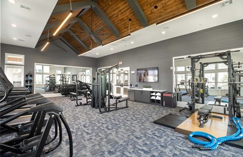 a gym with weights and cardio machines and a tv