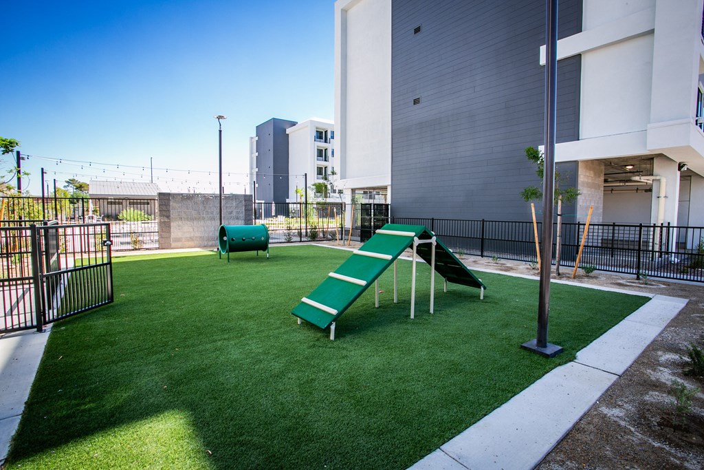 Pet park with artificial grass and agility equipment