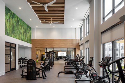 A gym with treadmills, weights and exercise machines.